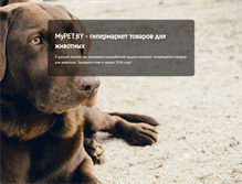 Tablet Screenshot of mypet.by